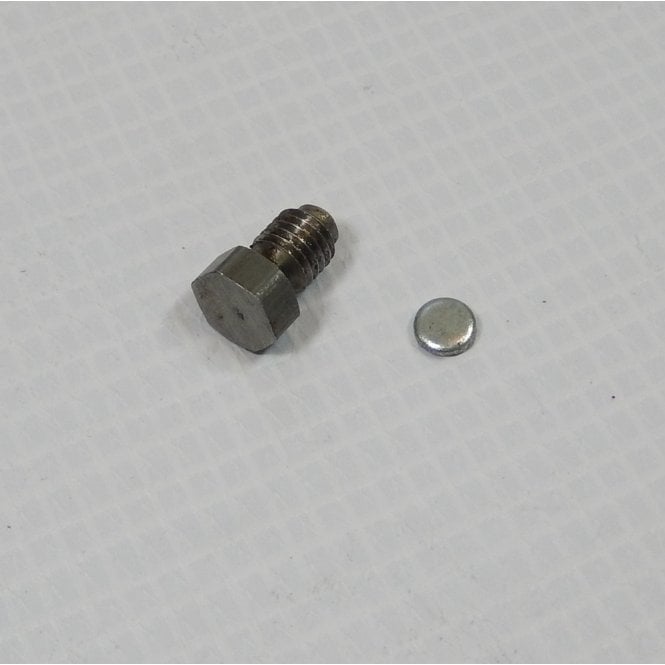Triumph Anti Theft Steering Lock Grub Screw & Capping Washer OEM No 21-0578, 97-2266
